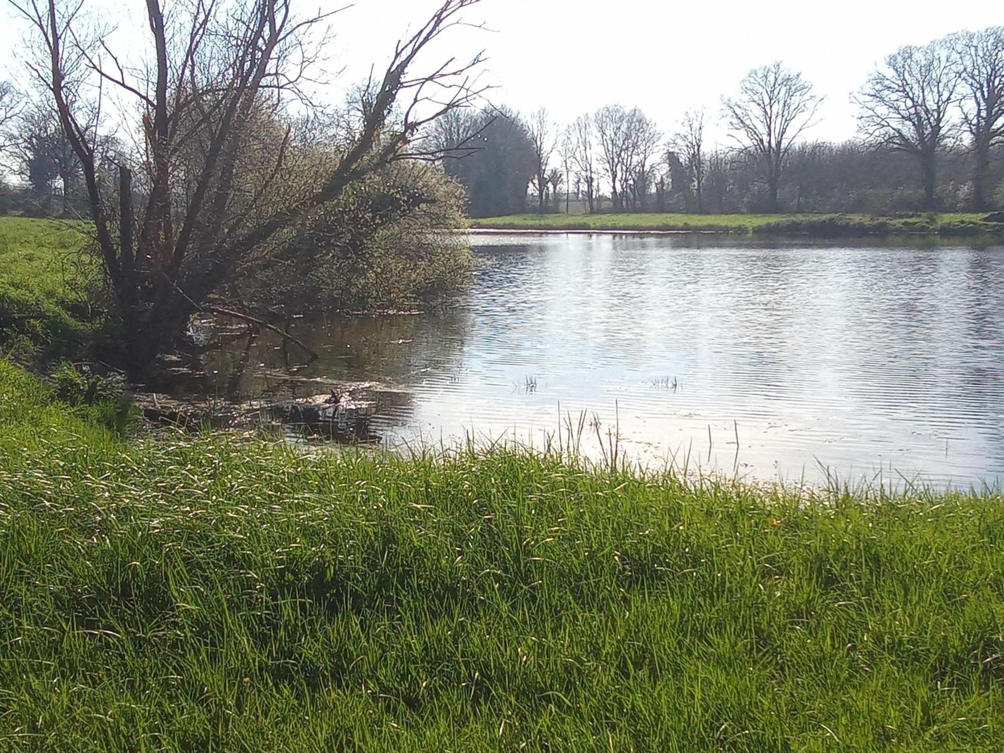 Chambre A La Campagne La Roche-sur-Yon Bagian luar foto